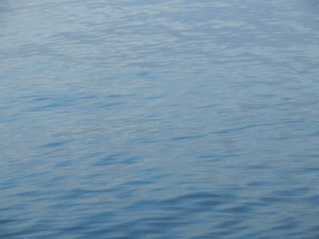 淀川キビレは本命⁇キープ⁇